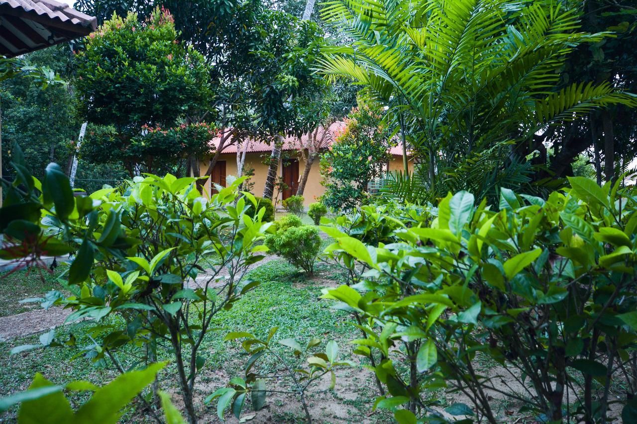 Kadolana Eco Village Balapitiya Exterior photo